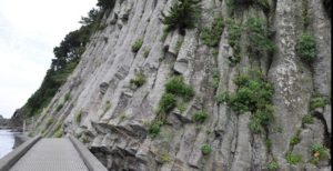 中木の柱状節理