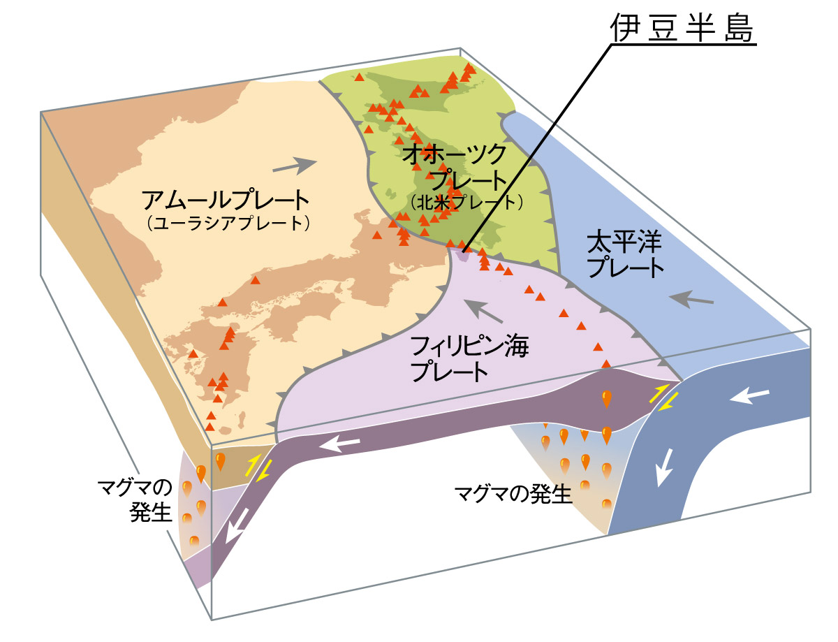 成り立ち 南から来た火山の贈りもの 伊豆半島ジオパーク