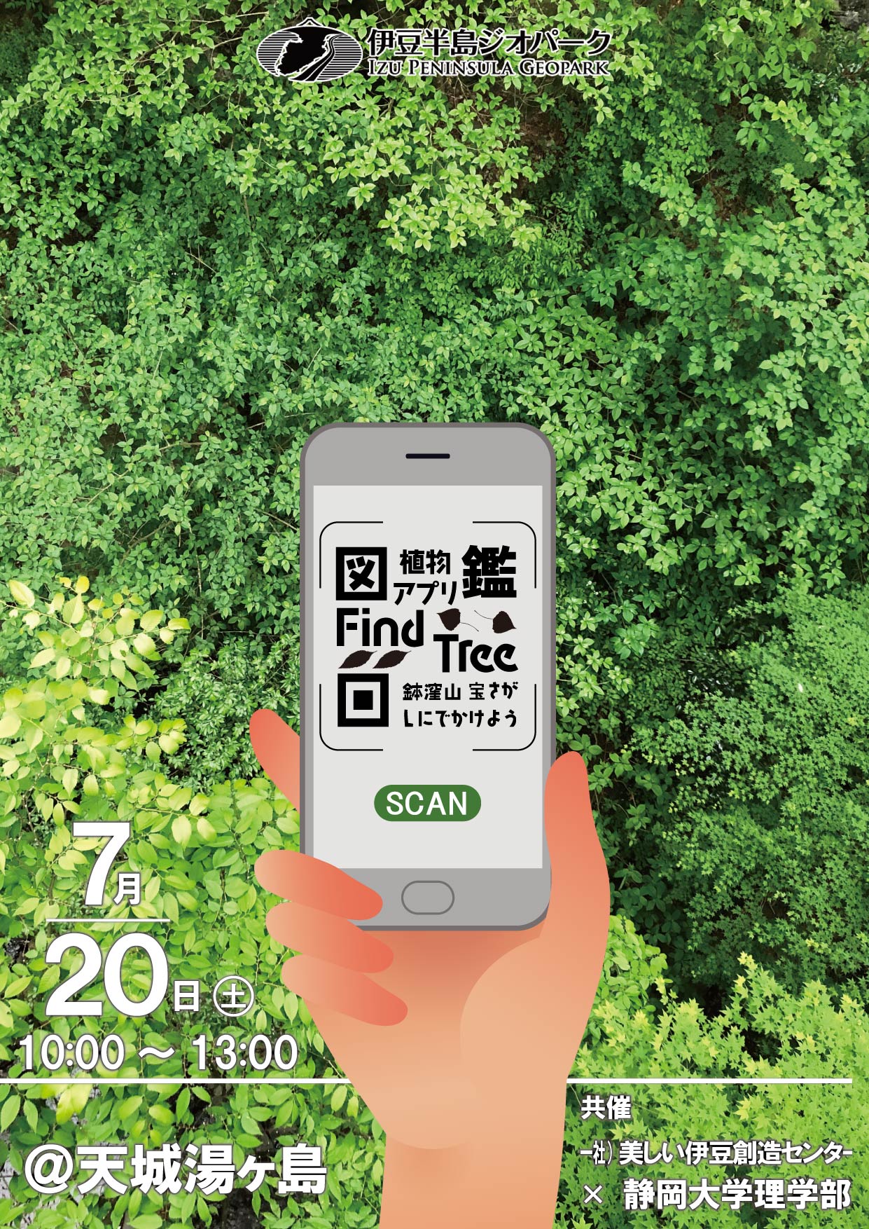 植物図鑑アプリFindTreeで鉢窪山の植物と頂上を制覇しよう！ | 南から