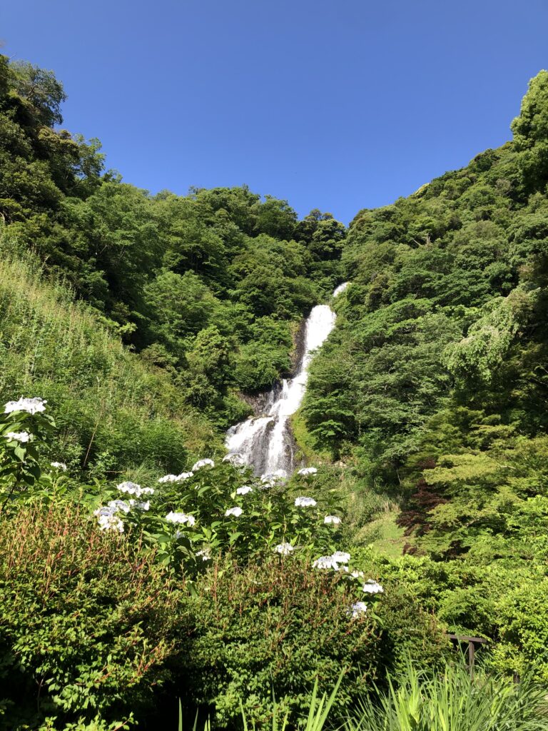 ６月の旭滝