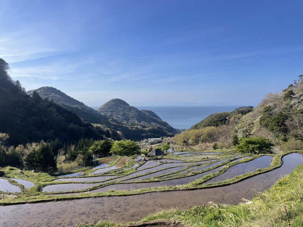 石部の棚田